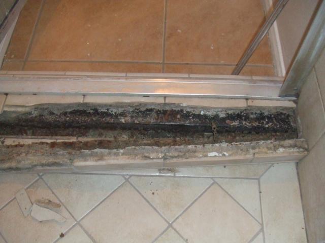 Shower pan leak. Rotted shower dam. 